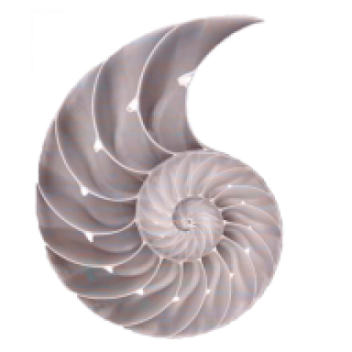 Thực phẩm HNH
