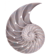 Thực phẩm HNH
