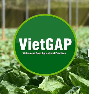 Tiêu chuẩn VietGAP